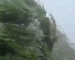 Video: Bão Dorian đang đổ bộ với sức gió 215km/h, sức tàn phá khủng khiếp