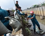 Khẩn trương khắc phục tường bao bị sập ở bến Mễ Cốc