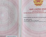 Đà Nẵng cảnh báo cho người dân về 