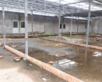 Doanh nghiệp hứa tài trợ... hết tiền, dân sạt lở Vàm Nao vất vả hơn 2 năm