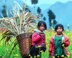 Nghệ sĩ ảnh trưng bày và bán 57 ảnh tuyệt đẹp xây nhà lưu trú cho học trò vùng cao