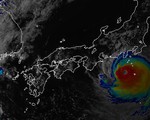 Lùi giờ nhiều chuyến bay từ Việt Nam đến Nhật vì bão áp sát Tokyo