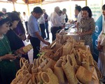 Du lịch không rác thải nhựa