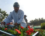 Làng hoa Sa Đéc kẻ khóc người cười, thương lái hủy kèo phút cuối