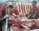 Giá heo giảm dần nhưng vẫn cao hơn Tết năm ngoái hàng chục ngàn