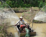 Vĩnh Long đóng cống Vũng Liêm để ngăn mặn