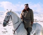Triều Tiên chiếu phim tài liệu ông Kim Jong Un cưỡi ngựa lên núi Bạch Đầu