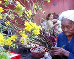 Tết là đây, con đã về với mẹ, sau 20 năm...