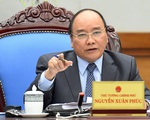 Thủ tướng yêu cầu 3 bộ báo cáo trách nhiệm vì để giá thịt heo tăng cao