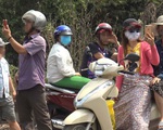 Hiếu kỳ thấy ớn!