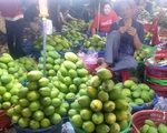Giá thịt heo vẫn 