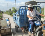 Miền Tây đối diện đợt hạn, mặn khốc liệt
