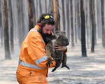 Số động vật bị chết trong cháy rừng Úc đã lên hơn 1,25 tỉ