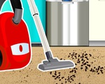7 loại rác trong nhà không nên dùng máy hút bụi