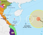 Bão số 8 ít dịch chuyển, đang cách Hoàng Sa 320km