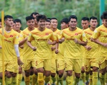 Đội tuyển U22 Việt Nam lỡ chuyến đi Pháp vì COVID-19