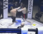 Xem võ sĩ MMA bị đánh knock-out ngất xỉu mà đứng 