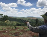 Điều tra lại vụ ‘6 cựu chiến binh tham gia phá rừng’ kêu oan