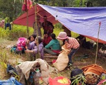 Vùng bị nạn Phước Sơn: dân đang cần tiếp tế lương thực, thực phẩm