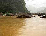 Lũ sông Kiến Giang dao động ở mức cao
