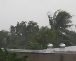 Phú Yên đã có gió giật mạnh cấp 9, cảnh báo ngập lụt hạ du