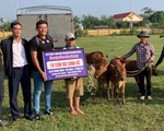 Lý Hoàng Nam trao bò và quà cho người dân miền Trung