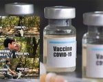 Cạnh tranh vắcxin ngừa COVID-19, người dùng hưởng lợi