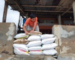 Phú Yên, Khánh Hòa sơ tán hàng ngàn dân tránh bão số 12