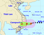 7h sáng mai bão đổ vào biển Bình Định - Ninh Thuận, gió giật cấp 11