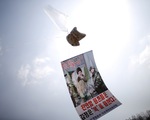 Hàn Quốc cấm gửi truyền đơn chống Triều Tiên