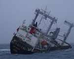 Thêm 1 tàu hàng sắp chìm ngoài biển Bình Thuận, thủy thủ đã mặc áo phao