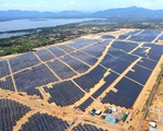 Nhà máy điện mặt trời lớn nhất tỉnh Bình Định hòa lưới vào 