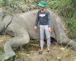 Con voi cuối cùng ở Bắc Tây Nguyên đã chết