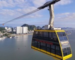Khách quan tâm sớm, tour tết rục rịch trở lại