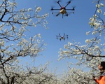 Trung Quốc dùng drone nhắc nhở người dân ra đường nhớ đeo khẩu trang