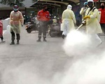 Virus gây viêm phổi corona được giải mã gen bằng cách nào?