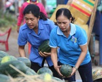 Bỏ tiền túi mua 10 tấn dưa hấu ‘giải cứu’ rồi phát miễn phí cho dân