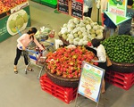 MM hỗ trợ nông dân tiêu thụ thanh long và dưa hấu