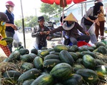 Lượng thanh long, dưa hấu bán tại các siêu thị tăng 3-10 lần
