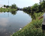 Cá chết dày đặc, bốc mùi hôi thối ngày đêm trên sông Cầu Dứa, Nha Trang