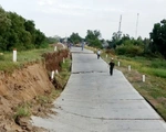 Đường phòng hộ đê biển Tây có đoạn sụt lún xuống 2 mét