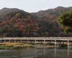 Vượt COVID-19, Kyoto kích cầu bằng chiến dịch 