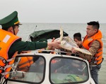 Chủ nhà hàng hải sản mua rùa quý nặng 30kg đem thả về biển