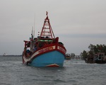 Điều tra các tàu cá sử dụng tên, đăng ký tàu giả để khai thác hải sản trái phép