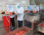 Bún dưa hấu và bánh tráng thanh long 