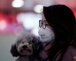 Hong Kong cách ly chó cưng của bệnh nhân nhiễm corona