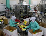 Hỗ trợ doanh nghiệp vượt khó thời corona