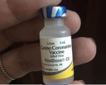 Văcxin phòng 7 bệnh cho chó được rao bán để 