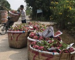 Ngân hàng giảm lãi vay cho khách hàng thiệt hại do dịch corona