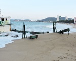 Di dời sà lan gây nguy hiểm cho bãi biển Nha Trang